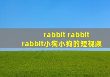 rabbit rabbit rabbit小狗小狗的短视频